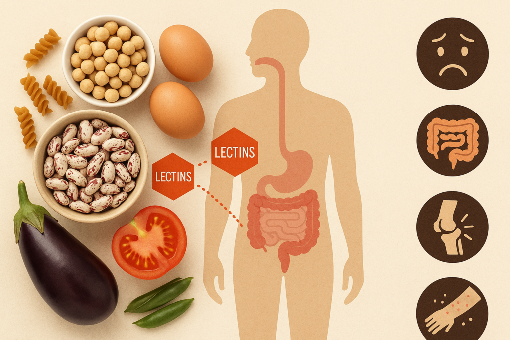 Digestive tract lectin response