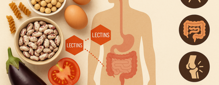 Why Some People React to Lectins More Than Others