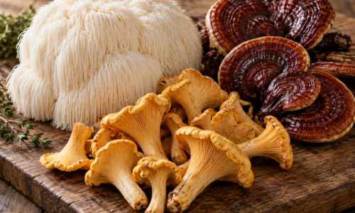 The Low-Lectin Guide to Mushrooms: Lion’s Mane, Reishi, and Chanterelles