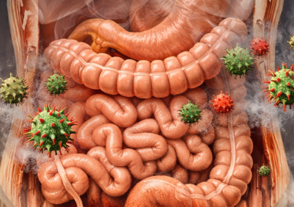 Lectins Impact on Nutrients