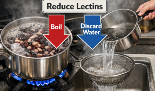 Reducing Lectins in Beans
