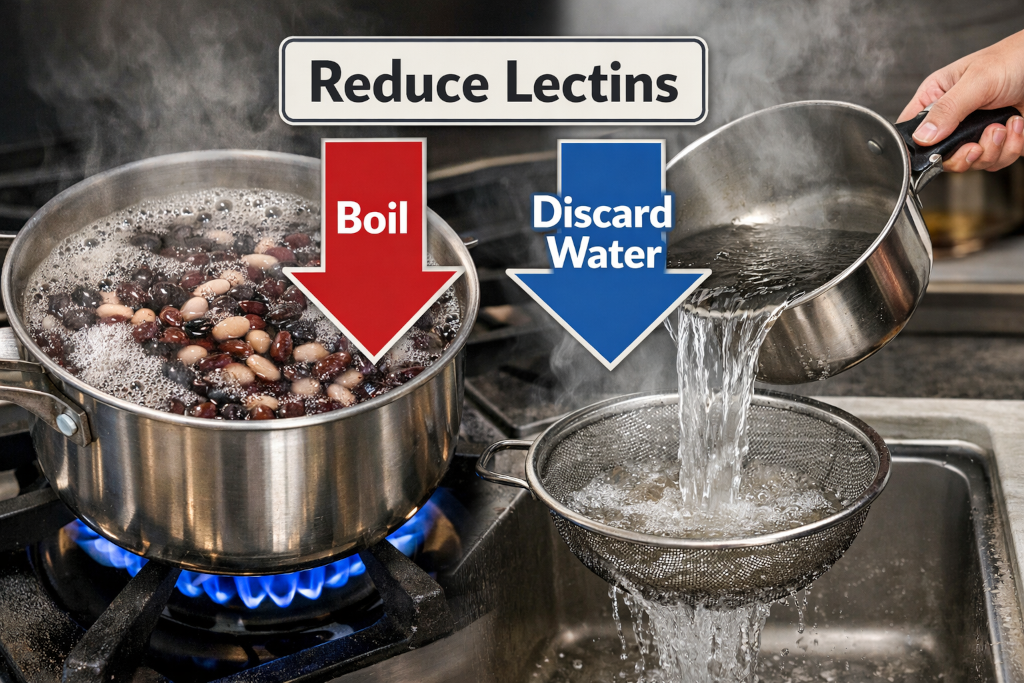 Reducing Lectins in Beans