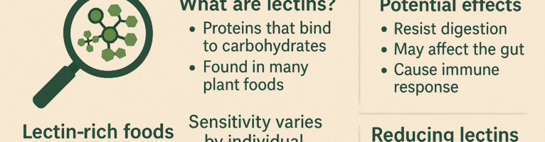What Are Lectins? A Beginner-Friendly Breakdown of the Science