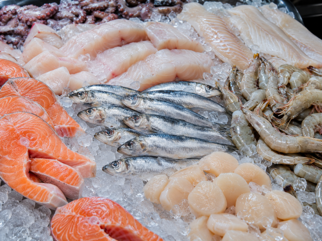 Wild Caught Fish and Seafood